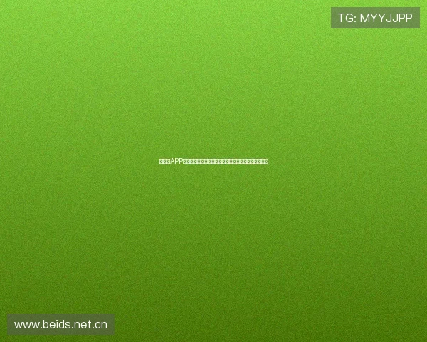 球帝带APP官方网站：开启篮球迷专属世界的全新体验与互动平台